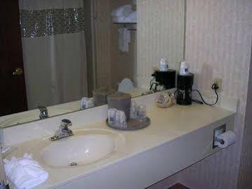 Hampton Hotel Birch Run