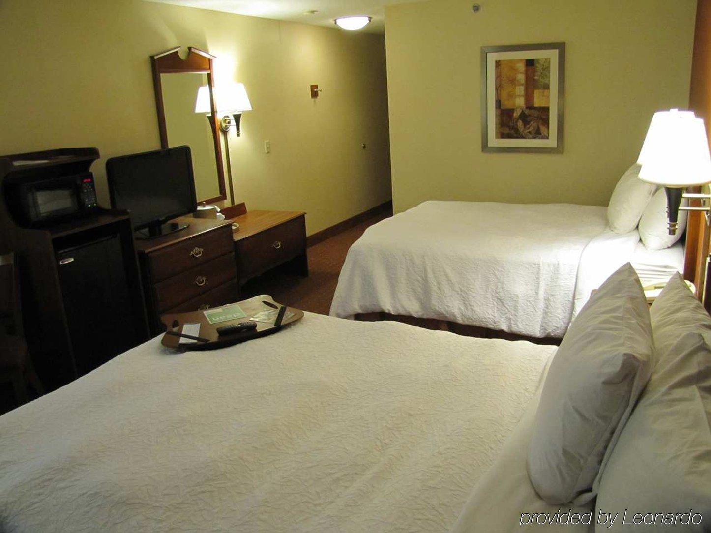 Hotel Hampton Birch Run