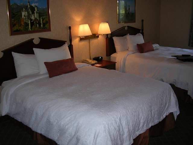 Hotel Hampton Birch Run