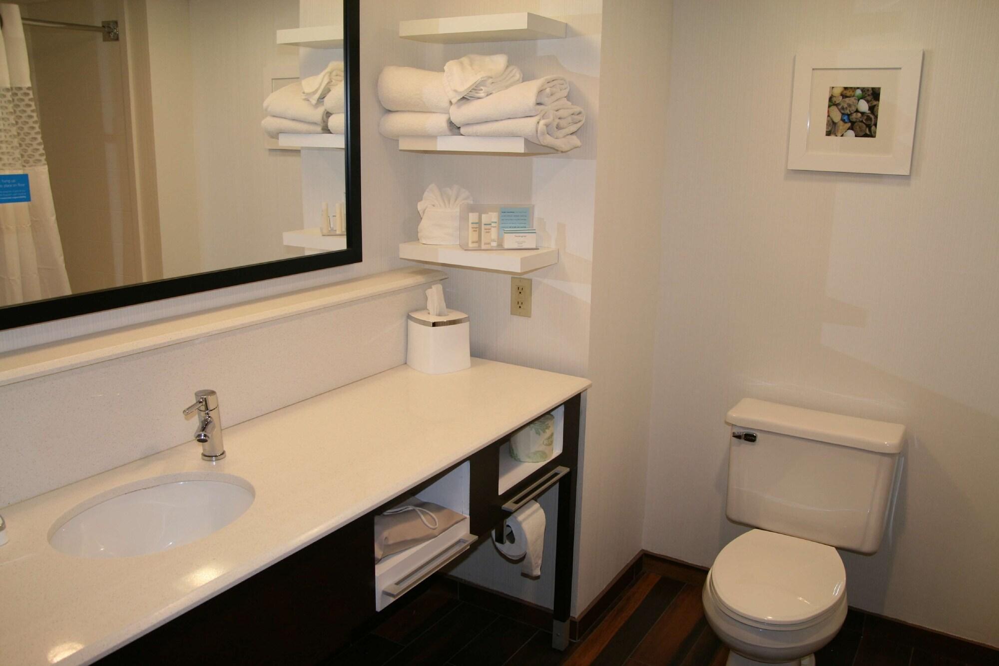 Hampton Hotel Birch Run