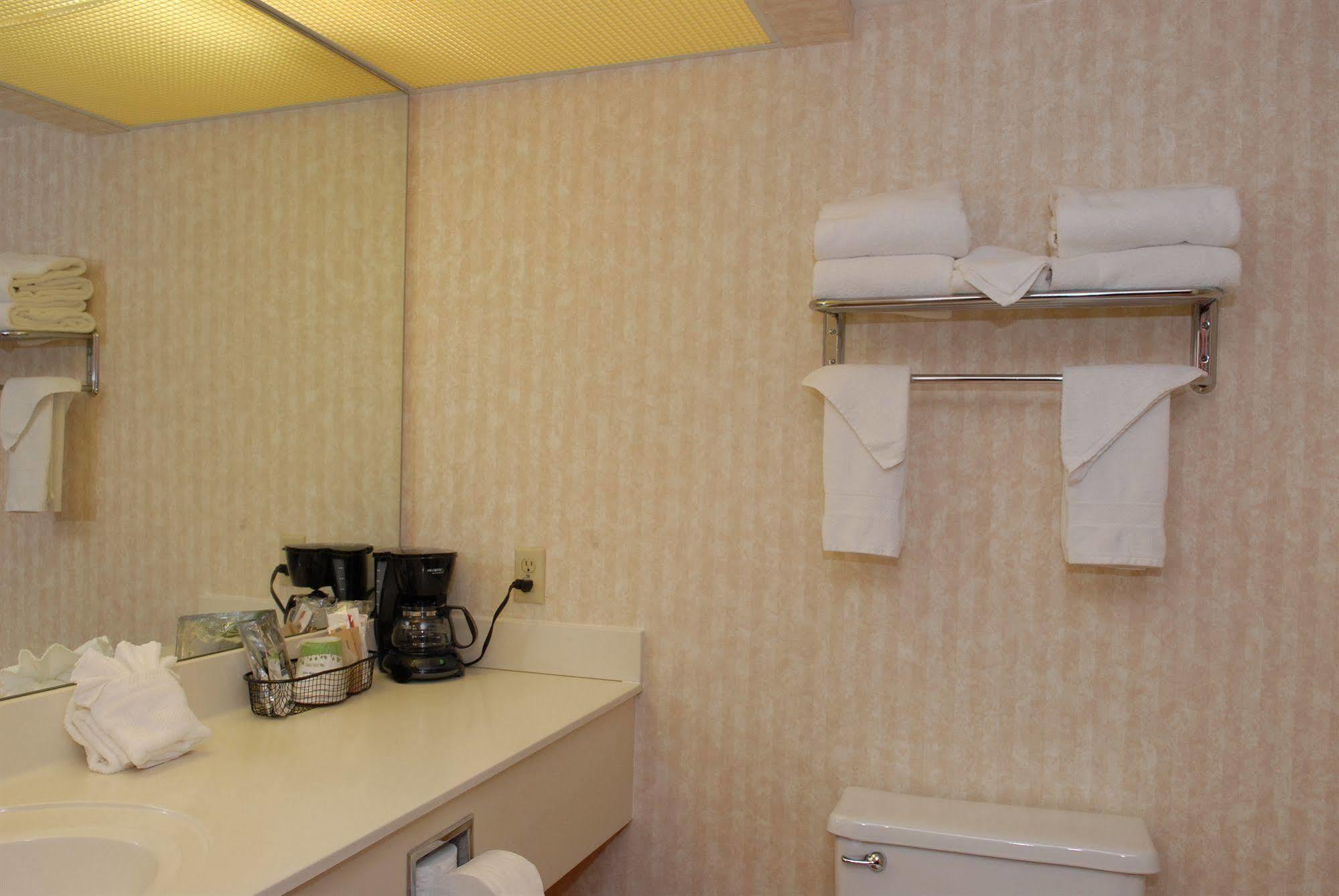 Hampton Hotel Birch Run